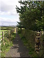 Footpath - Mount Tabor Road