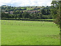 NY7764 : Pastures on the south bank of the River South Tyne below Redburn by Mike Quinn