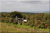 SS4538 : A stile on the footpath to Croyde which marks the descent on Pathdown lane by Roger A Smith