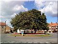 Traffic island in Ripon