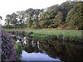 White Cart Water at Waterfoot