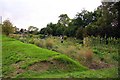 Allotments at Piddington