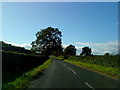 Country lane near Skelton on Ure