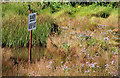 Damp ground, Whiteabbey (1)