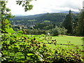 NY3704 : Ambleside from Thistly Wood by Peter S