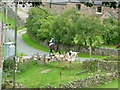 Horse and Hounds near Heaton