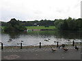 Lake, Saltwell Park, Gateshead