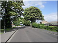 Street scene adjacent  to Fort Brockhurst