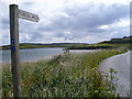 Coastal Walk by the Voe at Walls