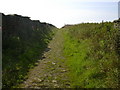 Bridleway from Duckworth Clough