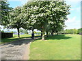 Public Park off High Leys Road