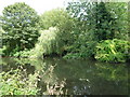 River Bulbourne joined by River Gade over-flow channel