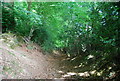 Footpath heading south to Marley Common