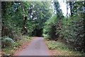 Sussex Border Path, Marley Common