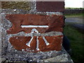 Bench mark on Brynberian School