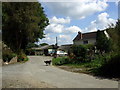 Nant-y-clun, with dog