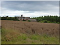 Caughley Farm from Caughley Road