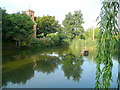 Apperley duck pond 2