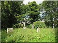 NY8465 : Haydon Old Church - graveyard (3) by Mike Quinn