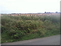 Farmland near Coldicott Farm