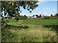 Sheds at Hall Farm, Redgrave