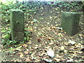 Benchmark on seat support beside path from Alexandra Road