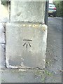 Benchmark on gatepost of #47 Prior Park Road