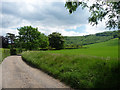 Footpath near Heyshott