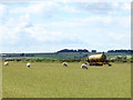 2010 : Slurry spreader and sheep off Rushmead Lane