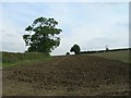 SP3049 : Ploughed field near Park Slade Farm by David P Howard