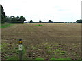 Footpath Across The Field