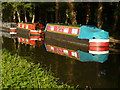 Summer Evening on the Godalming Navigation