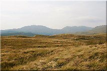 NR8578 : On top of Meall Dubh by Patrick Mackie