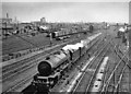 Edge Hill Yards, Liverpool, with express from Euston