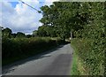 Trimpley Lane towards Shatterford