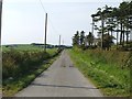 Road past Craigton Cottages