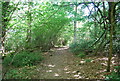 Bridleway, Gillham