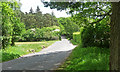 Country road near Graffham (1)