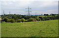 Horse grazing near Wolstenholme Fold