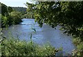 The River Severn at Folly Point