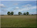 Open fields north of Woodsetts