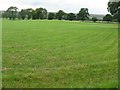 Grass field near Mill of Drummond