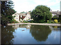 Duck pond, Rylstone