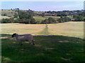 Farmland near Hartington