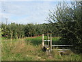 Stile near Howletts Farm Orchard