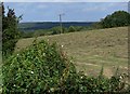 Farmland near Shatterford