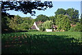 House seen across a field of Maize, Rushett Common