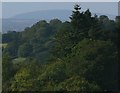 View towards the Wrekin