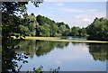 The tranquillity of Leybourne Lake