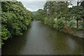 Afon Wnion at Dolgellau